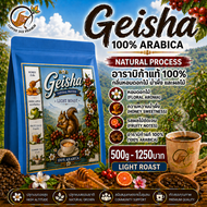 Specialty Geisha Coffee – Natural Process | Light Roast กาแฟดอยผาหม่น อาราบิก้า 100% สายพันธุ์เดี่ยว