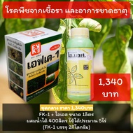 ยาป้องกันกำจัด ทุเรียนกิ่งแห้ง ทุเรียนใบไหม้ ทุเรียนใบร่วง เป็นเชื้อรา FK-1 และ ไอเอส โปรดอ่านรายละเ