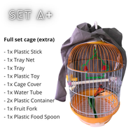 MPT Bird Cage Lovebird Cage Budgie Cage Sangkar Serindit sangkar bulat sangkar canary sangkar zebra