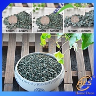 BLS 1KG GREEN ZEOLITE STONE SUCCULENT PLANT GARDEN DECORATION LANDSCAPING AQUARIUM BATU KACANG 绿沸石