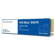 WD Blue SN570 250GB Hard Disk SSD M.2