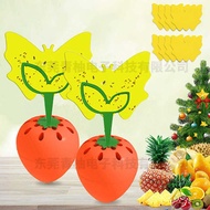 New Fly Trap Small Strawberry Fruit Fly Fly Trap Strawberry Fruit Fly Trap