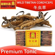 [Dynasty Tonic] Tibetan Cordyceps  Herbs Herbal Soup Tonic Boost Immunity