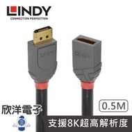 ※ 欣洋電子 ※LINDY林帝 DISPLAYPORT 1.4版 公 TO 母 延長線 0.5M 50公分 (36495) DP延長線