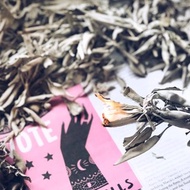 北美淨化聖品 美國進口 白鼠尾草 白色鼠尾草散裝 white sage