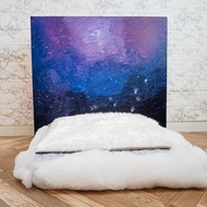 帶有美麗夜空和彩虹床頭板的狗床 帶有霓虹燈的木製狗窩 可以訂購狗和貓