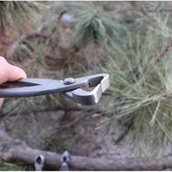 Bonsai Tree Pliers, Ornamental Plants, Pine Tree Pliers, Professional Bonsai Tools