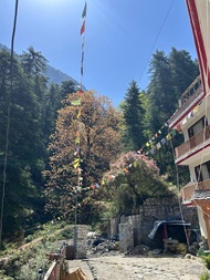 Byway Kasol