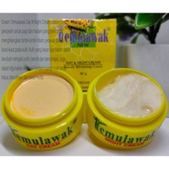 Temulawak CREAM Night And Afternoon 1BOX Content 2PC Beauty Skin Face