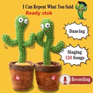 Dencing Cactus Cactus Plush Toy Talk Kaktus Bercakap Dancing toy song plush Dancing Cactus Early Chi