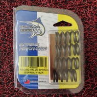 Y16 Y16ZR VALVE SPRING RACING ESPADA