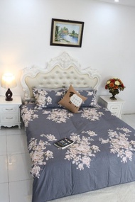 Set ga gối 3 món ga chun bọc và 2 vỏ gối cotton 100% Alnena 1m6x2m.