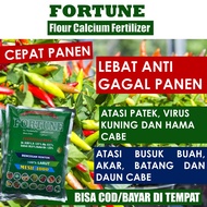 PUPUK KALSIUM CABE TERBAIK FORTUNE 1 kg- Pupuk Cabe Kocor dan Semprot Terbaik 100% Organik Ampuh Menambah Bobot Cabe dan Atasi Virus Kuning Cabe dan Lebat Cabe Rawit dll, Pupuk Cabe Paling Laris dan Terbaik - Pupuk Murah Paling Bagus 1 Kilo Gram