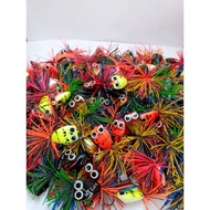 Small Jumping Frog Three Dimes Shape 2.5 cm.