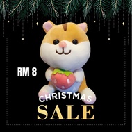 Cat with Strawberry Plushie