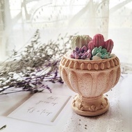 獨家設計 多肉植物盆栽 擴香石 仙人掌 療癒小物  儀式感生活 禮