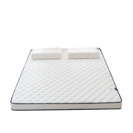 Latex Mattress Cushion For Home Thickened Dormitory Students Single Tatami Mat Sponge Mat Cushion Winter Foldable