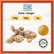 JL Mart HALIA / GINGER 300G / 500G / 1KG