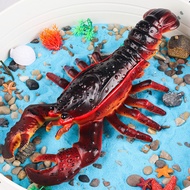 Model Lobster Getah Lembut Besar Realistik Mainan Lobster Boston Australia Hadiah Pelega Tekanan Kan