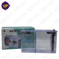 UP Aqua External Cycle Betta Box / Betta Fish Fighting Fish Tank