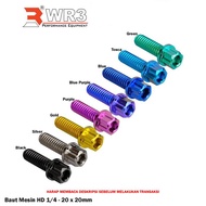 MESIN WR3 Titanium Engine Bolts for Harley Davidson Motorcycles 1/4 - 20 x 20mm 30mm/ 100mm/ - 1/4