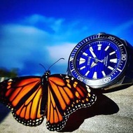 最新🇯🇵Seiko Save The Ocean 🌊 系列 Model No. SRPC93K1 -