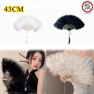 Gothic Style Feather / Fairy Girl Braid / Fairy Fan / Folding Feather Fan / Party Fan / Souvenir Fan
