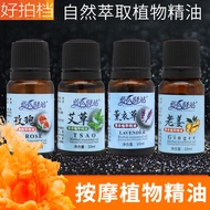 Rose Ginger Plant Body Private Pass Meridian Gua Sha Massage Beauty Salon Massage Vase JZ910AMG