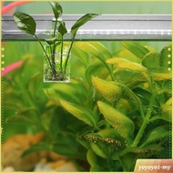 [YoyoyocfMY] Aquarium Plant Cup Acrylic Mini Plant Stand Aquatic Plant Cup Aquarium Decor