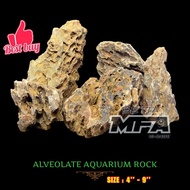ALVEOLATE AQUARIUM ROCK - AQUASCAPE AQUARIUM FISH TANK DECORATION AQUASCAPING / 1KG