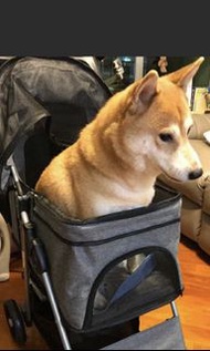 DOOGO BELLO 型格黑色 大狗車 寵物車 唐狗 可載多隻寵物 細狗 小狗 pet car dog Bello pet car pets stroller 實用 承重力高 三輪車 寵物車 有推車