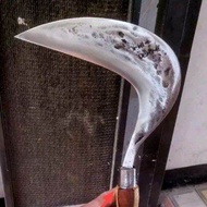 ARIT RUMPUT BAJA PER ASLI LEBIH KUAT DARI ARIT BIASA