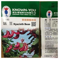 Seeds - V-140 Hyacinth Bean