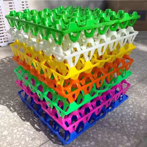 5pcs/10 pcs Plastic Egg Tray Transport Egg Tray Thickened Egg Tray Egg Turnover Box Farm tools Egg T