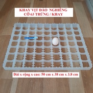 Plastic Duck Egg Turning Tray 63 Eggs accessories for making duck egg incubator