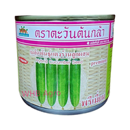 Benih Timun Thailand F1 Hybrid Cucumber Seed Premium - ( 50g ) 👍 💯