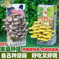 [Mushroom Growing Box]Mushroom Cultivation Kit Indoor Mushroom Growing Kit for Children Edible Mushr