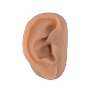 Acupuncture Ear Model, Right Artificial Ear Replica for Auricular Therapy Teaching, Piercing Practic