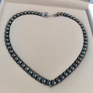 Chuỗi Ngọc Trai Nước Mặn Akoya ánh xanh xám (DNT0144) - MOON Jewelry