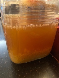 活躍水克菲爾 water kefir