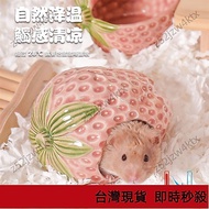 🔥Taiwan Shipping🔥 Hamster Igloo Hamster Igloo Hamster Igloo Hamster Igloo Hamster Ceramic Igloo Iglo