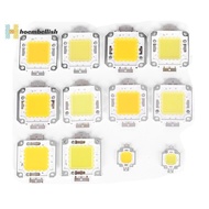 <Hoembellish> 1pc cob led light dc led bulb chip on board 10W 20W 30W 50W 70W 100W 2 colors well