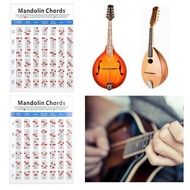 Mandolin Chord Chart  Long Tube Packaging Notes Practical for Beginners