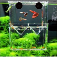 Breeding Cage Tray for Ornamental Shrimp 10x13cm - High Quality, Safe Mica Breeding Cage - Prevents 