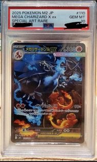 2025 噴火龍EX SAR #110