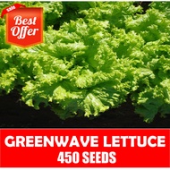 GreenWave Seeds - Lettuce Seeds