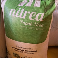 pupuk urea 50 kg kujang