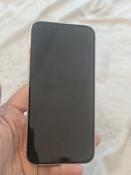 iPhone 13 Pro 512g