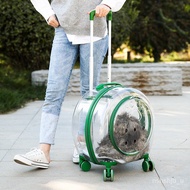 ZHY/🧼CM SLPCPet Trolley Bag out Transparent Cat Cage Cat Bag Portable and Versatile Puppy Cat Trolley Case Dog Diaper Ba