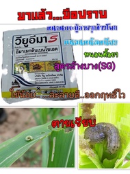 // 2 กล่องเล็ก // วียูอิมา ( เนื้อ SG 1 กิโลกรัม ) อิมาแม็กติน เบนโซเอต 5% สารกำจัดหนอน ยาฆ่าหนอน หน